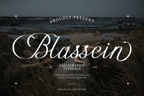 Blassein: A Graceful Script Font for Elegant Campaigns