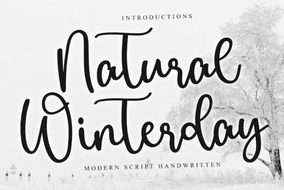 Discovering the Cozy Charm of Natural Winterday Font