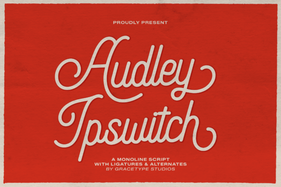 Enhance Your Campaign with Audley Ipswitch Font