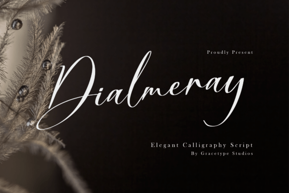 Transform Your Brand with Dialmeray: A Premium Script Font